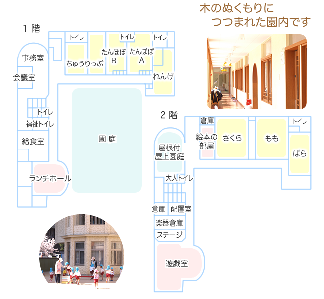 �������ۈ牀�̉����͖؂̂ʂ�����ɂ܂�Ă��܂�